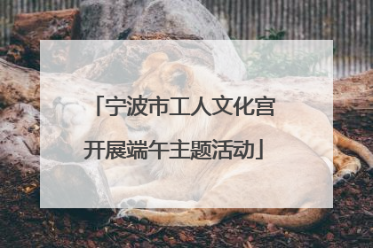 宁波市工人文化宫开展端午主题活动