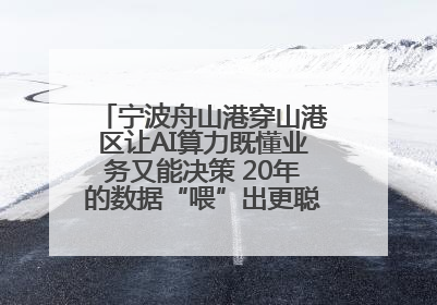 宁波舟山港穿山港区让AI算力既懂业务又能决策 20年的数据“喂”出更聪明的港口