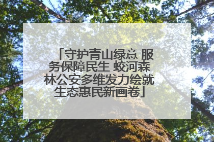 守护青山绿意 服务保障民生 蛟河森林公安多维发力绘就生态惠民新画卷