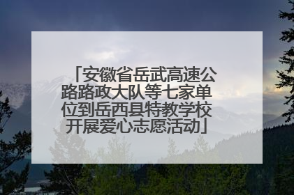安徽省岳武高速公路路政大队等七家单位到岳西县特教学校开展爱心志愿活动