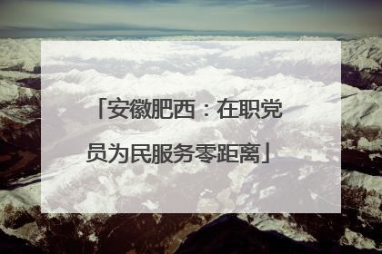 安徽肥西：在职党员为民服务零距离