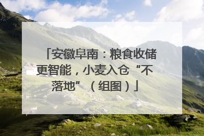 安徽阜南：粮食收储更智能，小麦入仓“不落地”（组图）