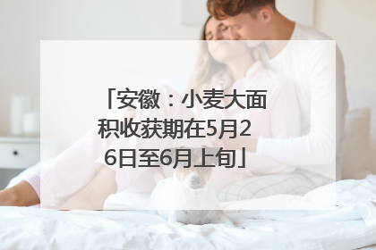 安徽：小麦大面积收获期在5月26日至6月上旬