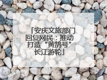 安庆文旅部门回复网民：推动打造“黄鹄号”长江游轮