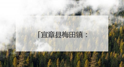 宜章县梅田镇：灵芝朵朵开 撑开“致富花”