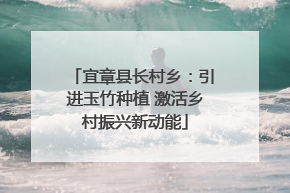 宜章县长村乡：引进玉竹种植 激活乡村振兴新动能