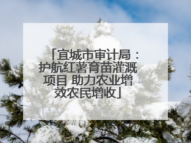 宜城市审计局：护航红薯育苗灌溉项目 助力农业增效农民增收