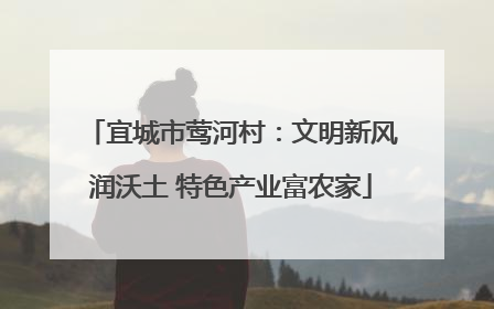 宜城市莺河村：文明新风润沃土 特色产业富农家