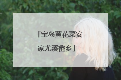 宝岛黄花菜安家尤溪畲乡