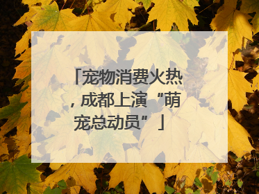 宠物消费火热，成都上演“萌宠总动员”