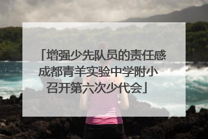 增强少先队员的责任感 成都青羊实验中学附小召开第六次少代会