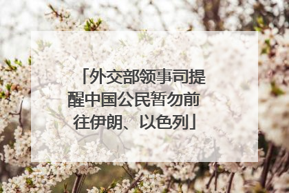 外交部领事司提醒中国公民暂勿前往伊朗、以色列