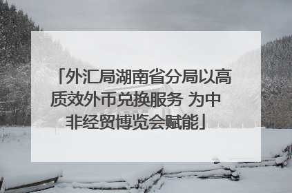 外汇局湖南省分局以高质效外币兑换服务 为中非经贸博览会赋能