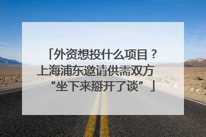 外资想投什么项目？上海浦东邀请供需双方“坐下来掰开了谈”