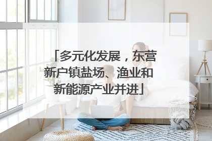 多元化发展，东营新户镇盐场、渔业和新能源产业并进