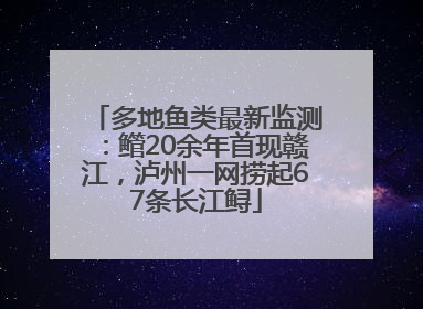 多地鱼类最新监测：鳤20余年首现赣江，泸州一网捞起67条长江鲟