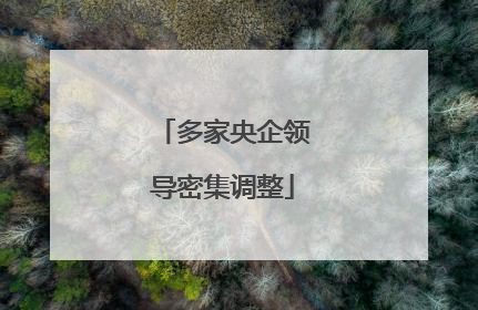多家央企领导密集调整