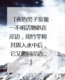 夜钓男子发现一不明活物趴在岸边，用竹竿将其拨入水中后，它又爬回岸边……