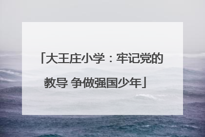 大王庄小学：牢记党的教导 争做强国少年