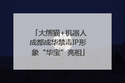 大熊猫+机器人 成都成华禁毒IP形象“华宝”亮相
