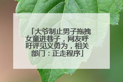 大爷制止男子拖拽女童进巷子，网友呼吁评见义勇为，相关部门：正走程序