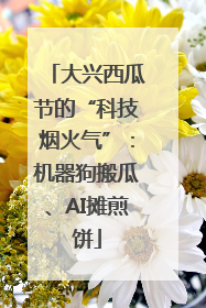 大兴西瓜节的“科技烟火气”：机器狗搬瓜、AI摊煎饼