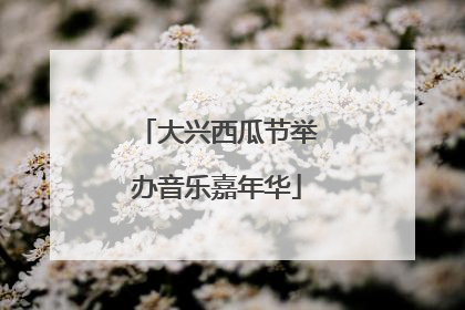 大兴西瓜节举办音乐嘉年华