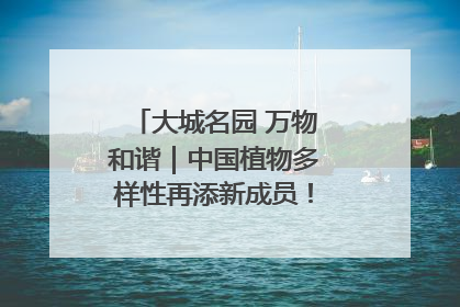 大城名园 万物和谐｜中国植物多样性再添新成员！它只在西藏墨脱