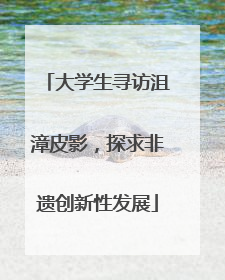 大学生寻访沮漳皮影，探求非遗创新性发展