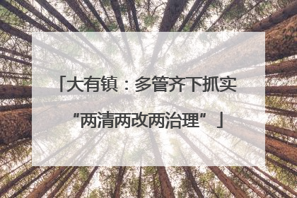大有镇：多管齐下抓实“两清两改两治理”