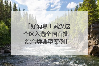 好消息！武汉这个区入选全国首批综合类典型案例