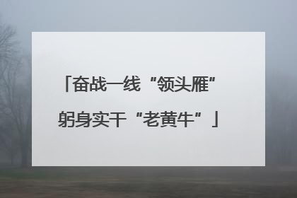 奋战一线“领头雁” 躬身实干“老黄牛”