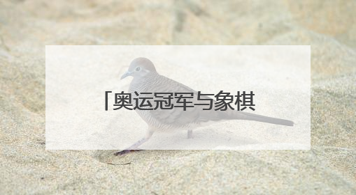 奥运冠军与象棋世界冠军跨界联动，泰安岱庙上演象棋文化盛宴