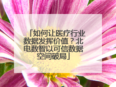 如何让医疗行业数据发挥价值？北电数智以可信数据空间破局
