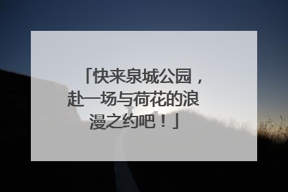 快来泉城公园，赴一场与荷花的浪漫之约吧！