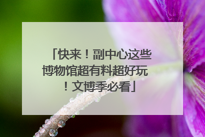 快来！副中心这些博物馆超有料超好玩！文博季必看