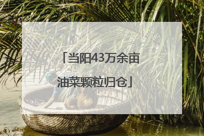 当阳43万余亩油菜颗粒归仓