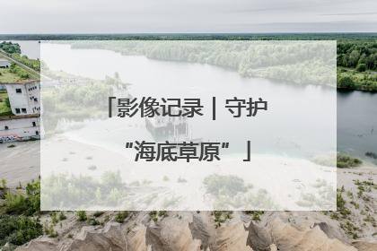 影像记录｜守护“海底草原”