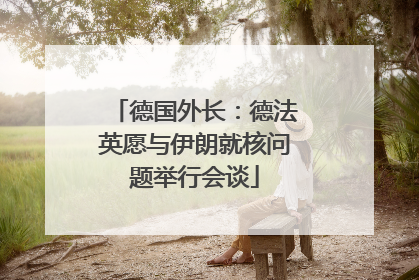 德国外长：德法英愿与伊朗就核问题举行会谈