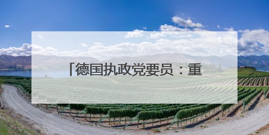 德国执政党要员：重启“北溪-2”或是促成俄乌停火的切入点