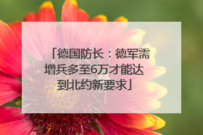 德国防长：德军需增兵多至6万才能达到北约新要求