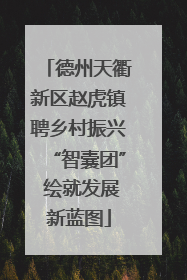 德州天衢新区赵虎镇聘乡村振兴“智囊团” 绘就发展新蓝图