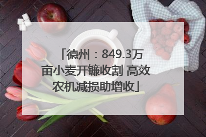 德州：849.3万亩小麦开镰收割 高效农机减损助增收