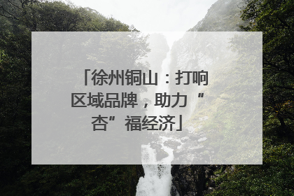 徐州铜山：打响区域品牌，助力“杏”福经济