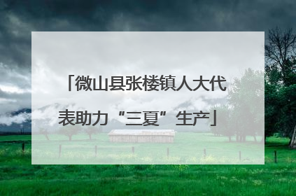 微山县张楼镇人大代表助力“三夏”生产