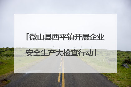 微山县西平镇开展企业安全生产大检查行动