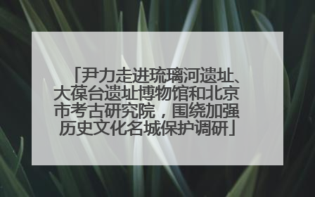 尹力走进琉璃河遗址、大葆台遗址博物馆和北京市考古研究院，围绕加强历史文化名城保护调研