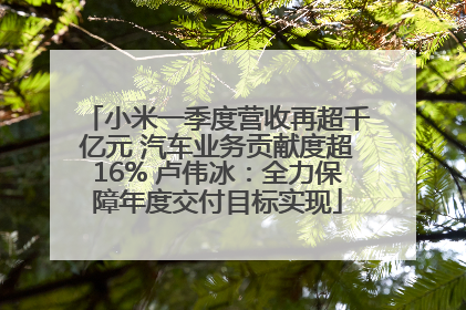 小米一季度营收再超千亿元 汽车业务贡献度超16% 卢伟冰：全力保障年度交付目标实现
