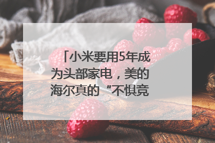 小米要用5年成为头部家电，美的海尔真的“不惧竞争”？｜热财经