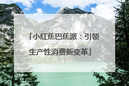 小红蕉巴蕉派：引领生产性消费新变革
